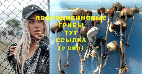 гидра Алексин