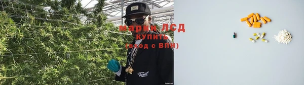 гидра Алексин