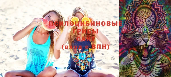 индика Алзамай