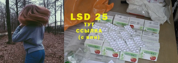 прущие грибы Алексеевка