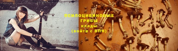 шишки Лабытнанги