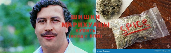 прущие грибы Алексеевка