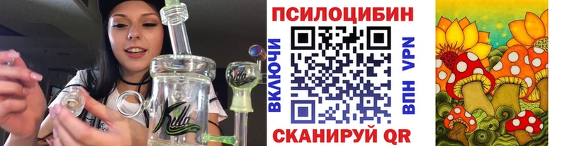 площадка как зайти  Солнечногорск  Псилоцибиновые грибы GOLDEN TEACHER  даркнет сайт 