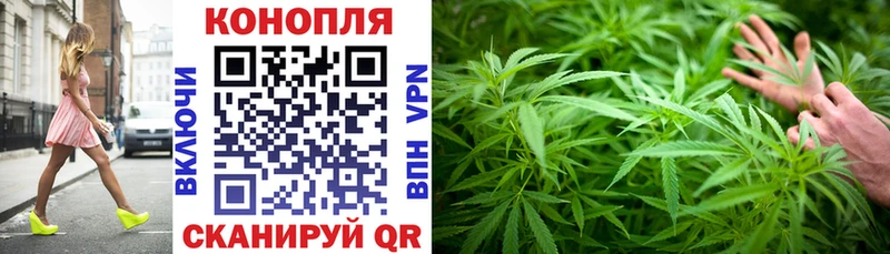 OMG как войти  Солнечногорск  Шишки марихуана Amnesia 